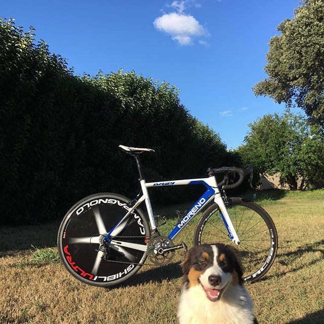 Une belle photo pour vous souhaiter une bonne semaine !  #cyclesmoreno #dogcycliste #perpignan #rivesaltes