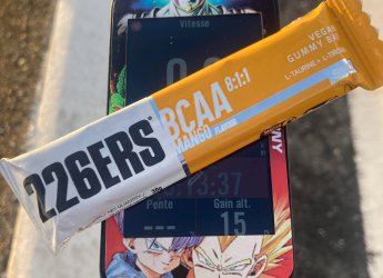 Avant la transformation en super guerrier  surtout avant l hypo 