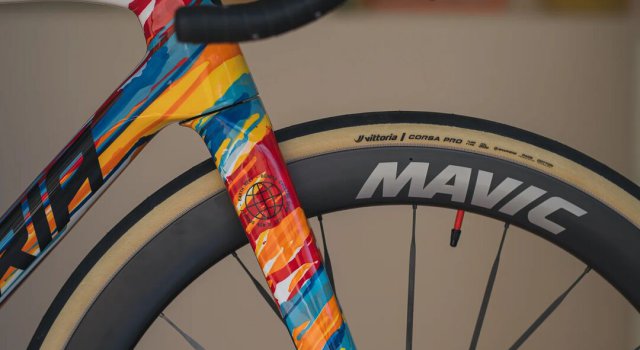 Belador Essential? Pro? BR?